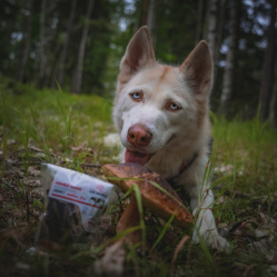 Sušené hovädzie mäso JERKY