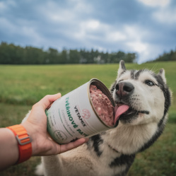 Zvěřinové paté 850 g